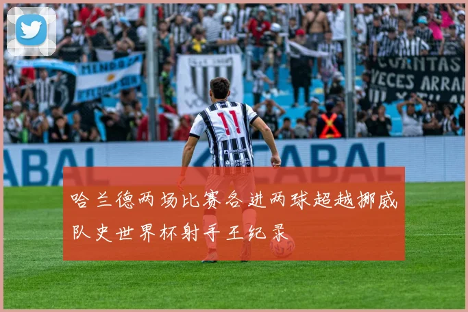 哈兰德两场比赛各进两球超越挪威队史世界杯射手王纪录